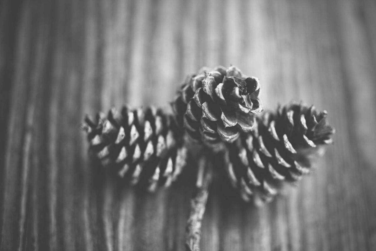 Sequi quo amet molestias laborum eos
